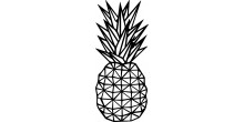 Ananas Ahşap Tablo